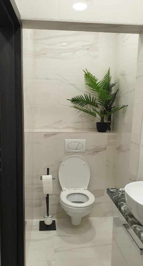 Апартаменты Belvarosi Apartman 2 Мишкольц Экстерьер фото